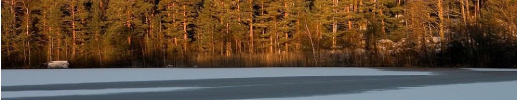Svegs Sportfiskeklubb