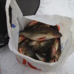 9baa765da70764b6b01ddb94fb696924